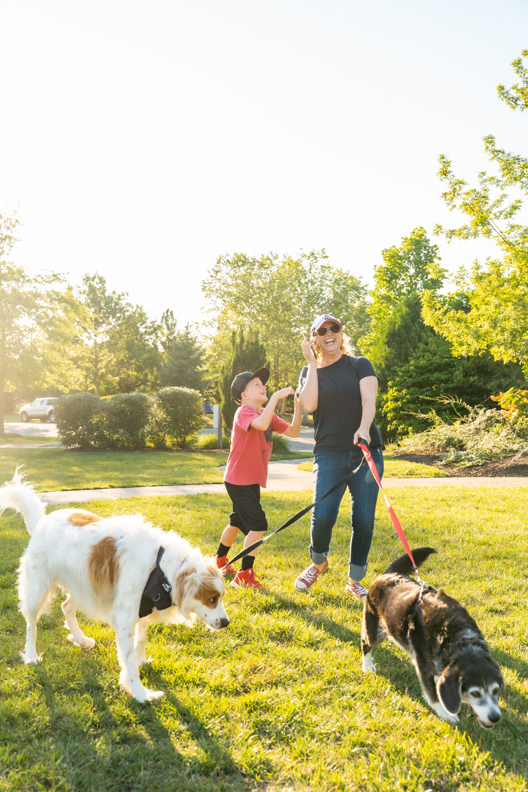 personal branding photo for realtors showing a female realtor on the phone in the sunlight walking 2 dogs while her young son tries to get her attention