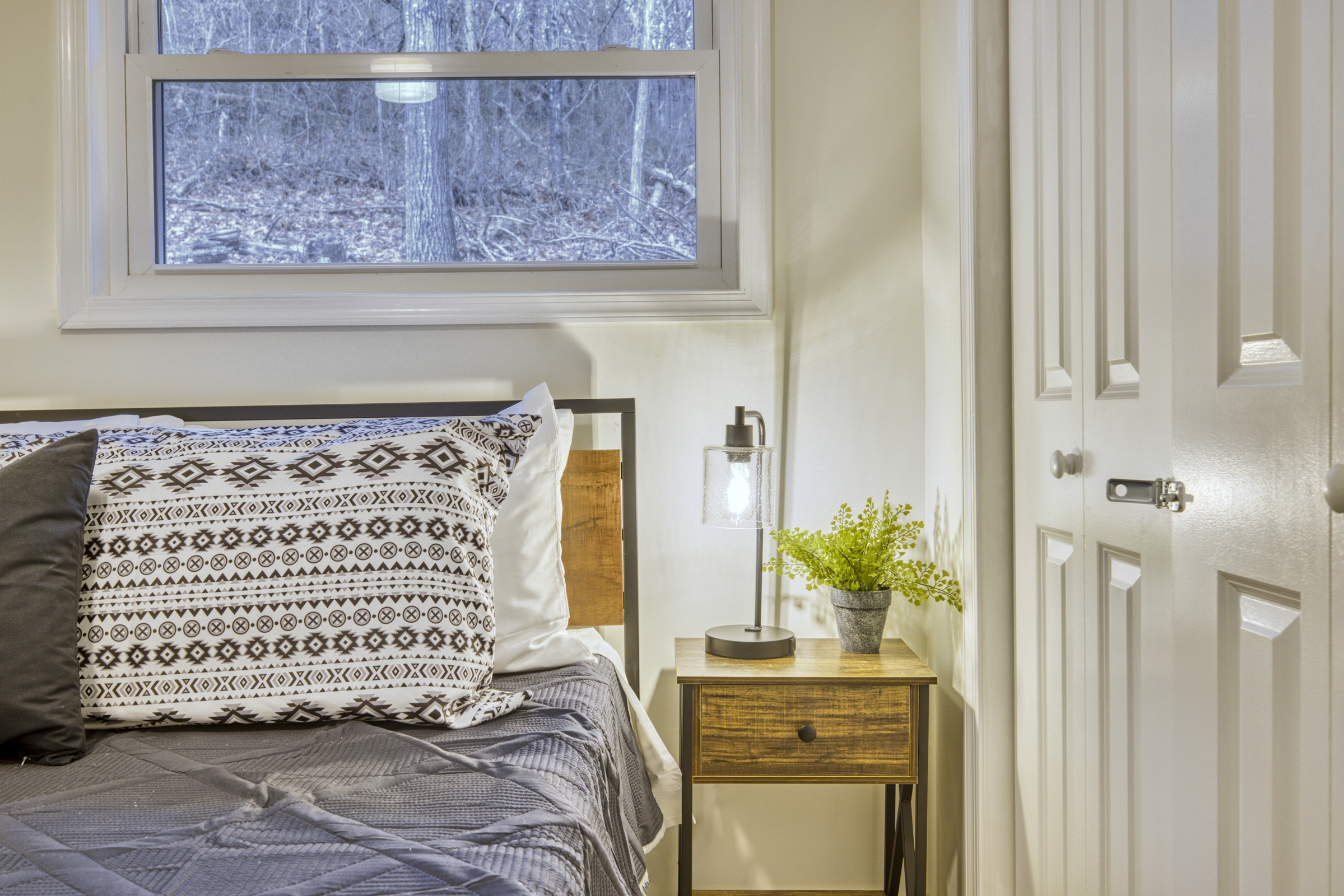 Professional interior photo of 540 Pine Knob Road in Stanley, VA - showing decoration details in bedroom
