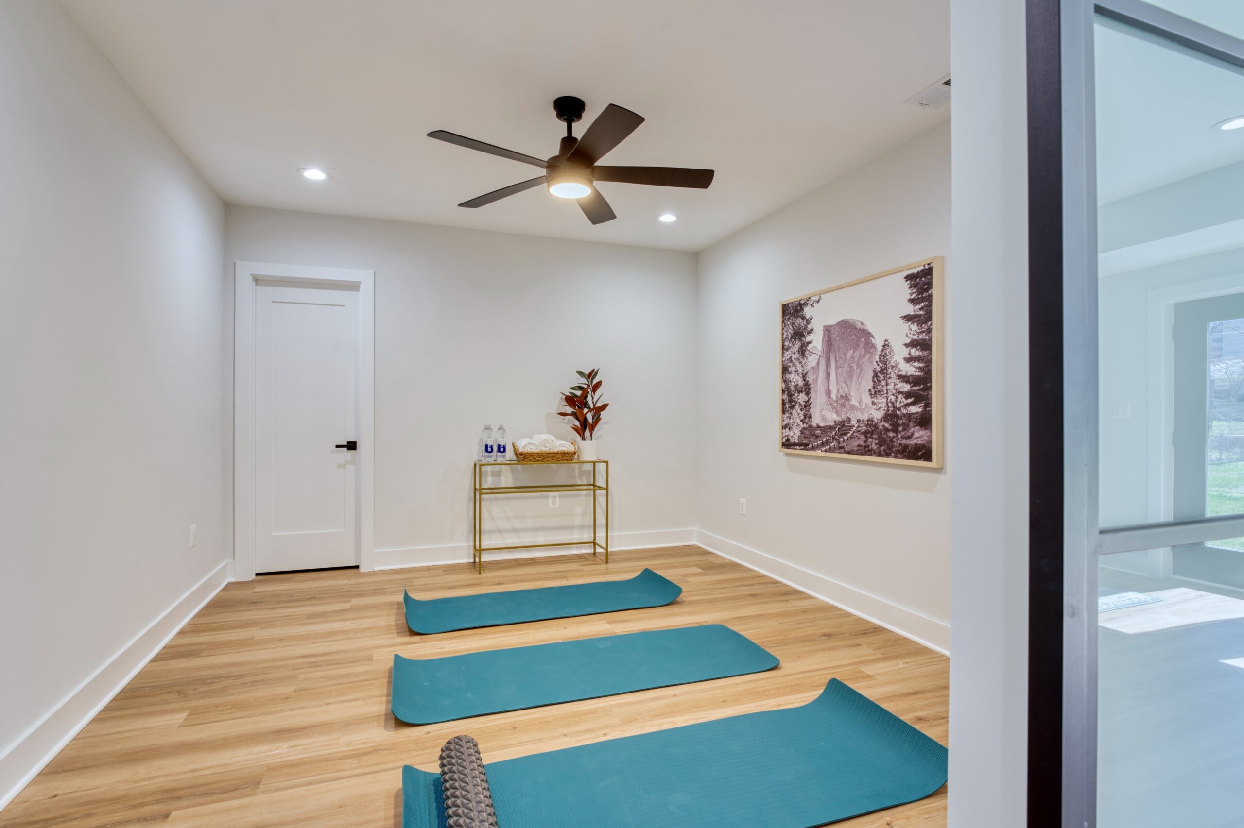 Professional interior photo of Custom New Home 1416 S Greenbrier St - showing the exercise room with LVP woodlike floors and yoga mats laid out and ceiling fan
